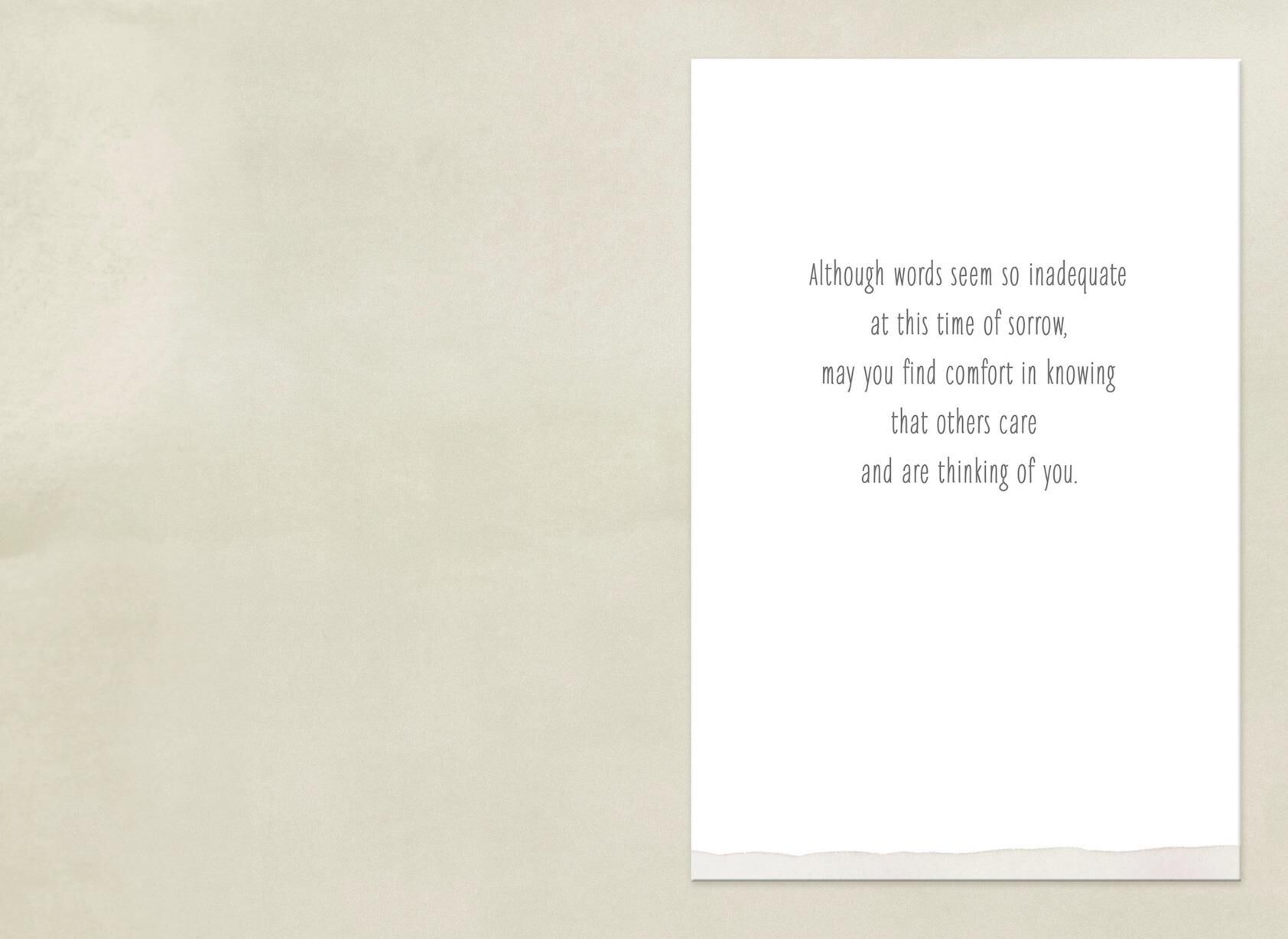 Single Feather Sympathy Card for Loss of Grandson