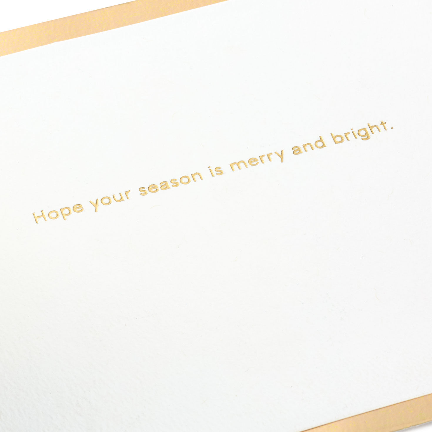 Christmas Tree 3D Pop-Up Holiday Card Sentiment image number 3