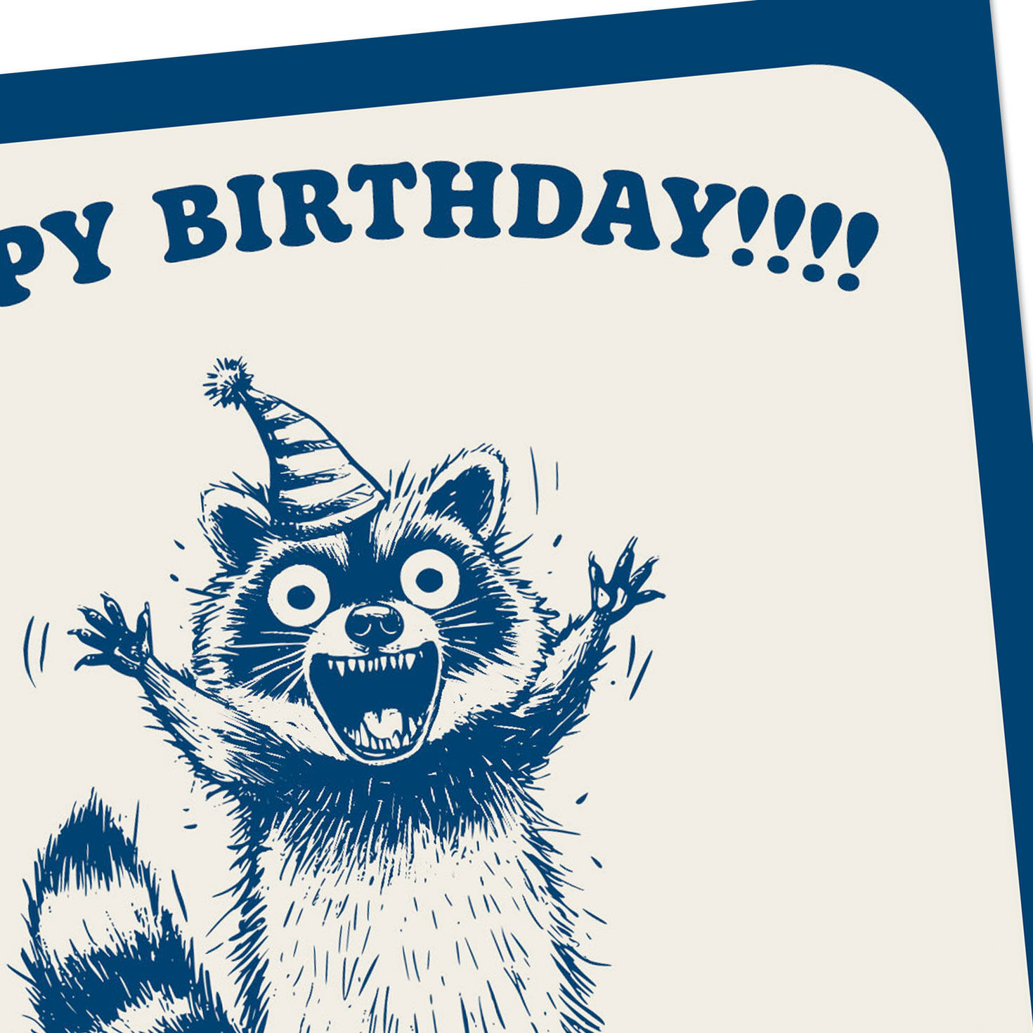 Enthusiastic Raccoon Funny Blank Birthday Card Card Front Detail image number 3