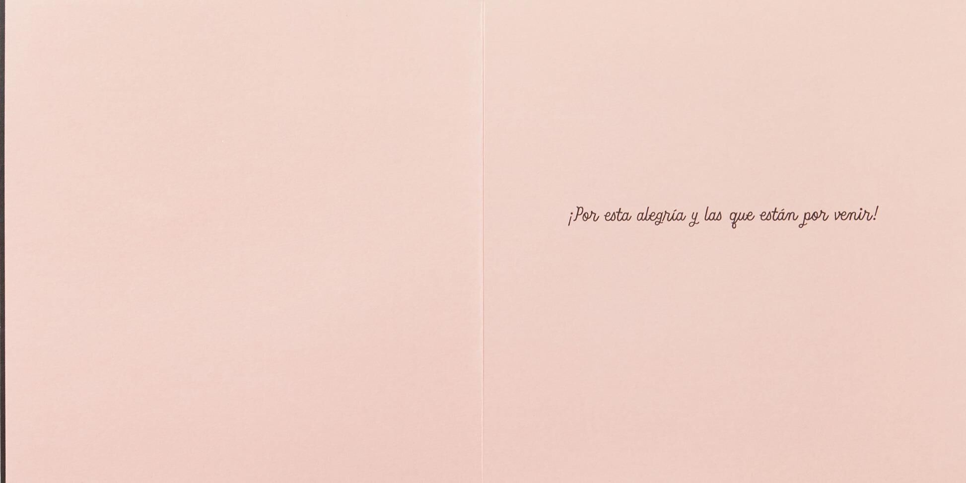 Felicidades Spanish Language Wedding Card