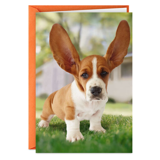 I'm All Ears if You Want to Talk Funny Thinking of You Card, 