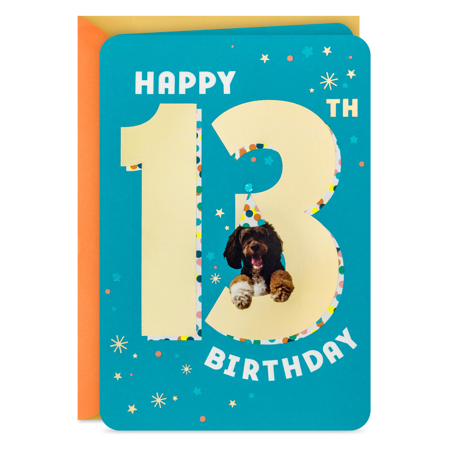 So Excited to Celebrate You 13th Birthday Card