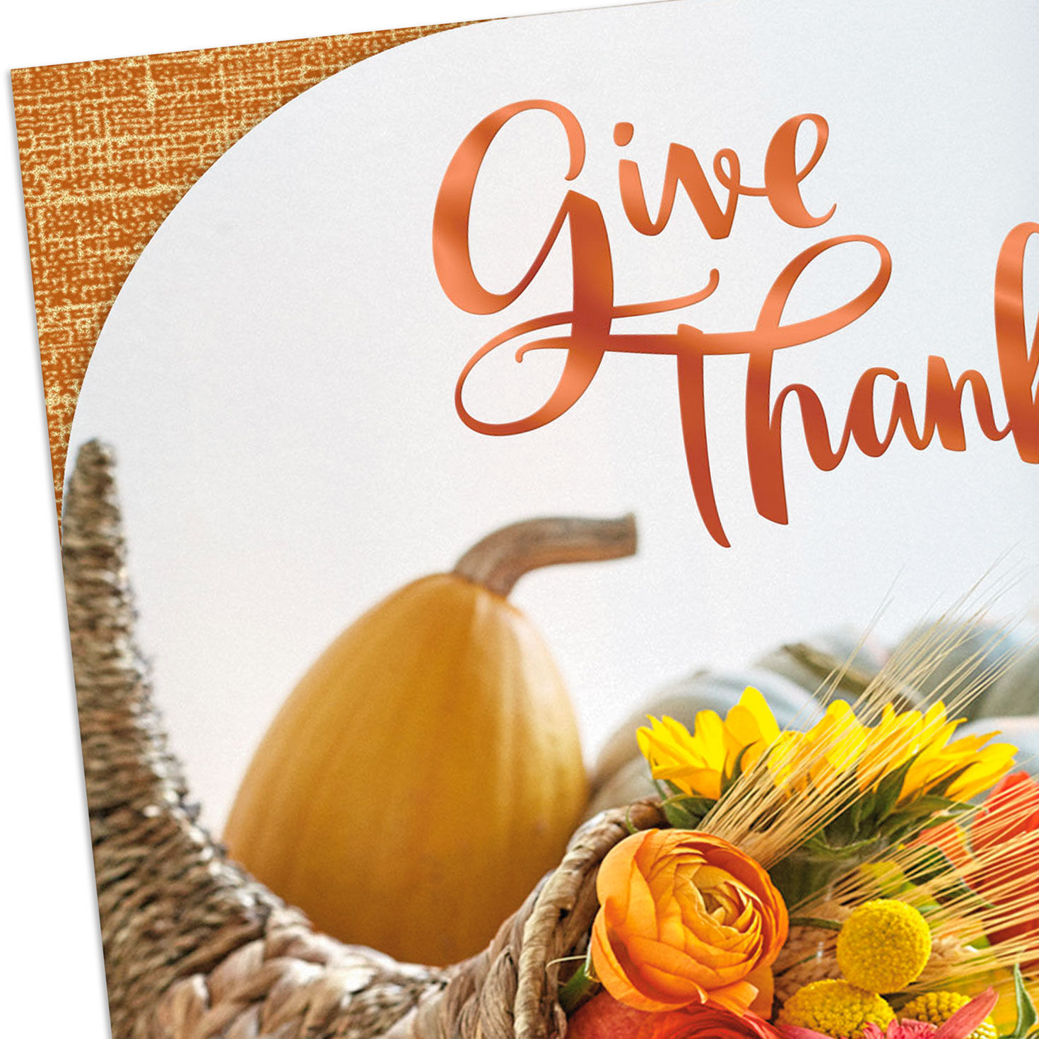 Wishing You So Much Happiness Thanksgiving Card for only USD 3.59 | Hallmark