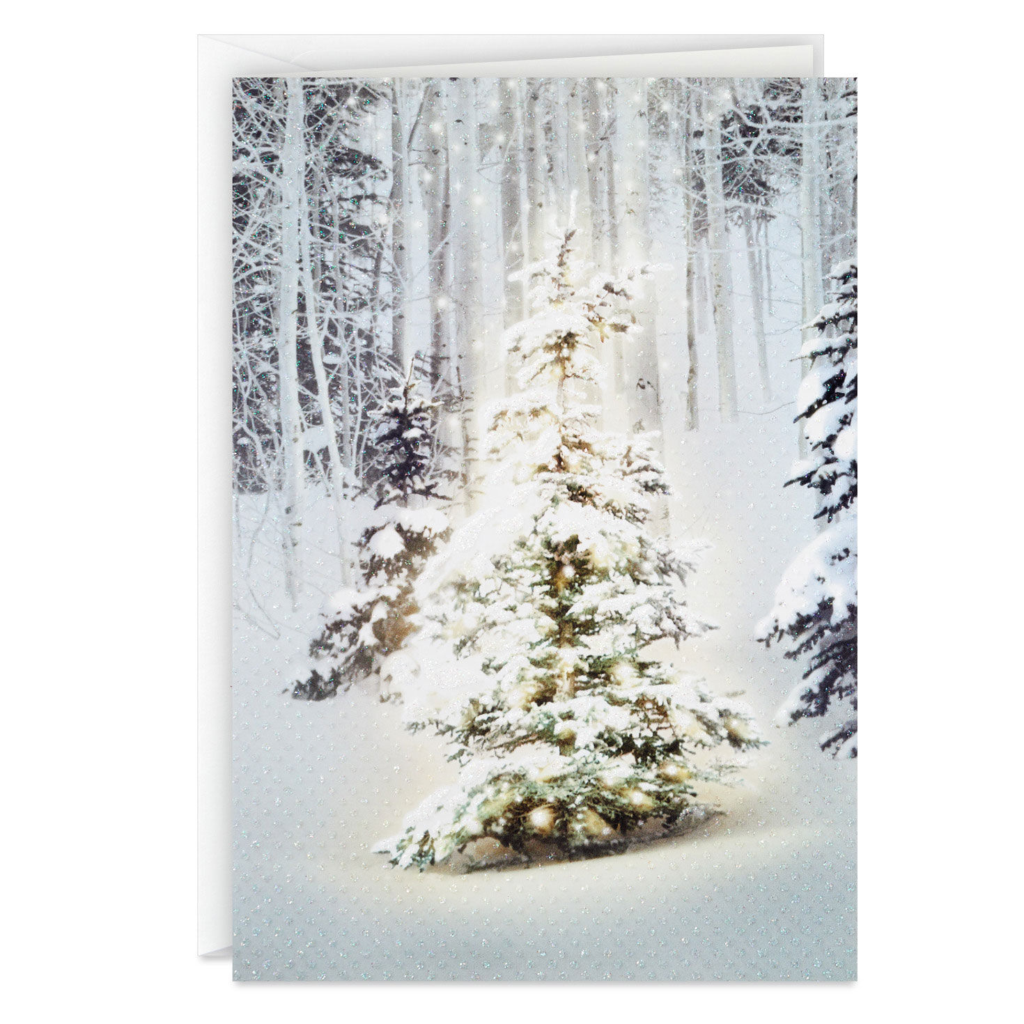 Snowy Pine Tree Blessings Everywhere Boxed Christmas Cards, Pack of 16 for only USD 12.49 | Hallmark