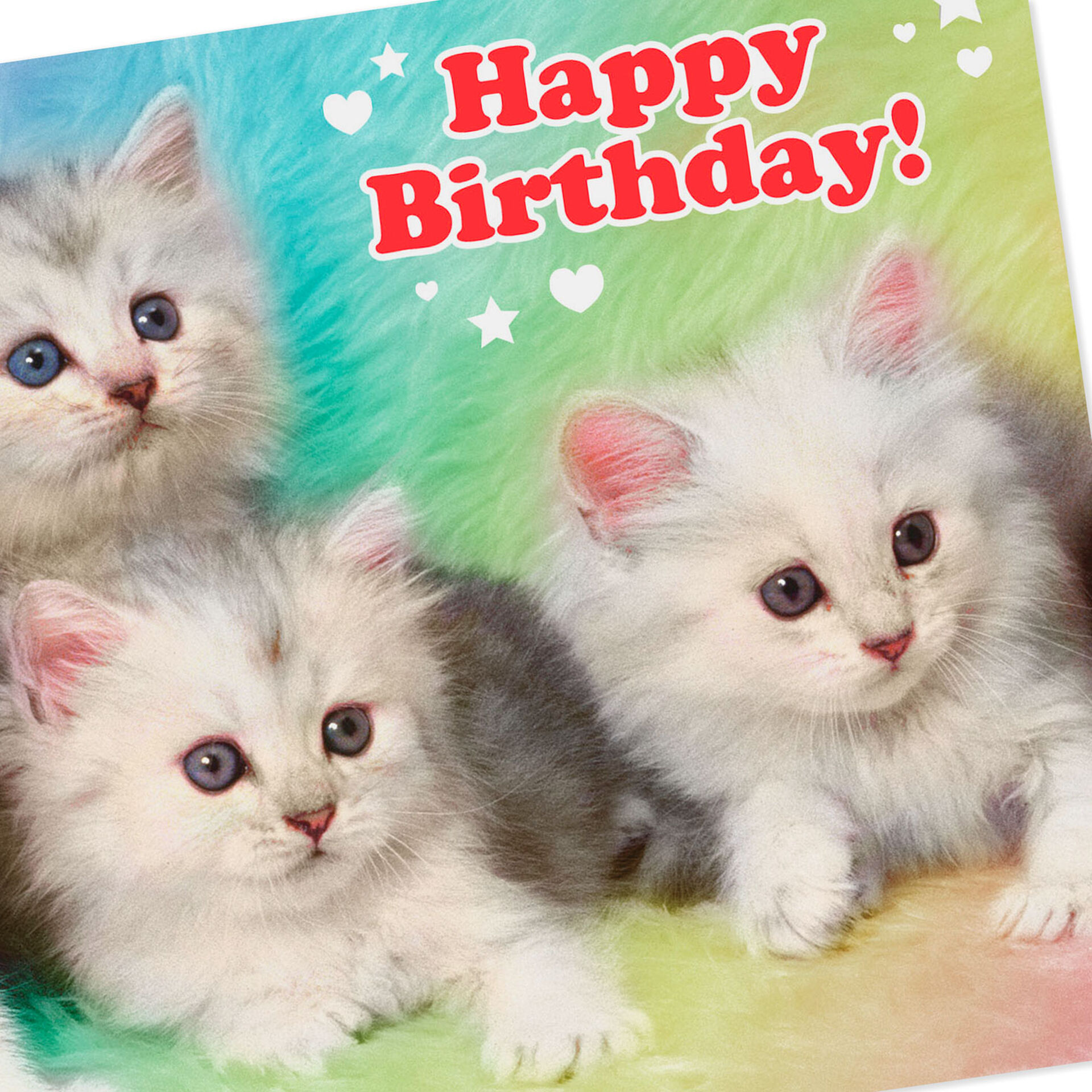 Extremely Cute Kittens Funny Birthday Card - Greeting Cards - Hallmark