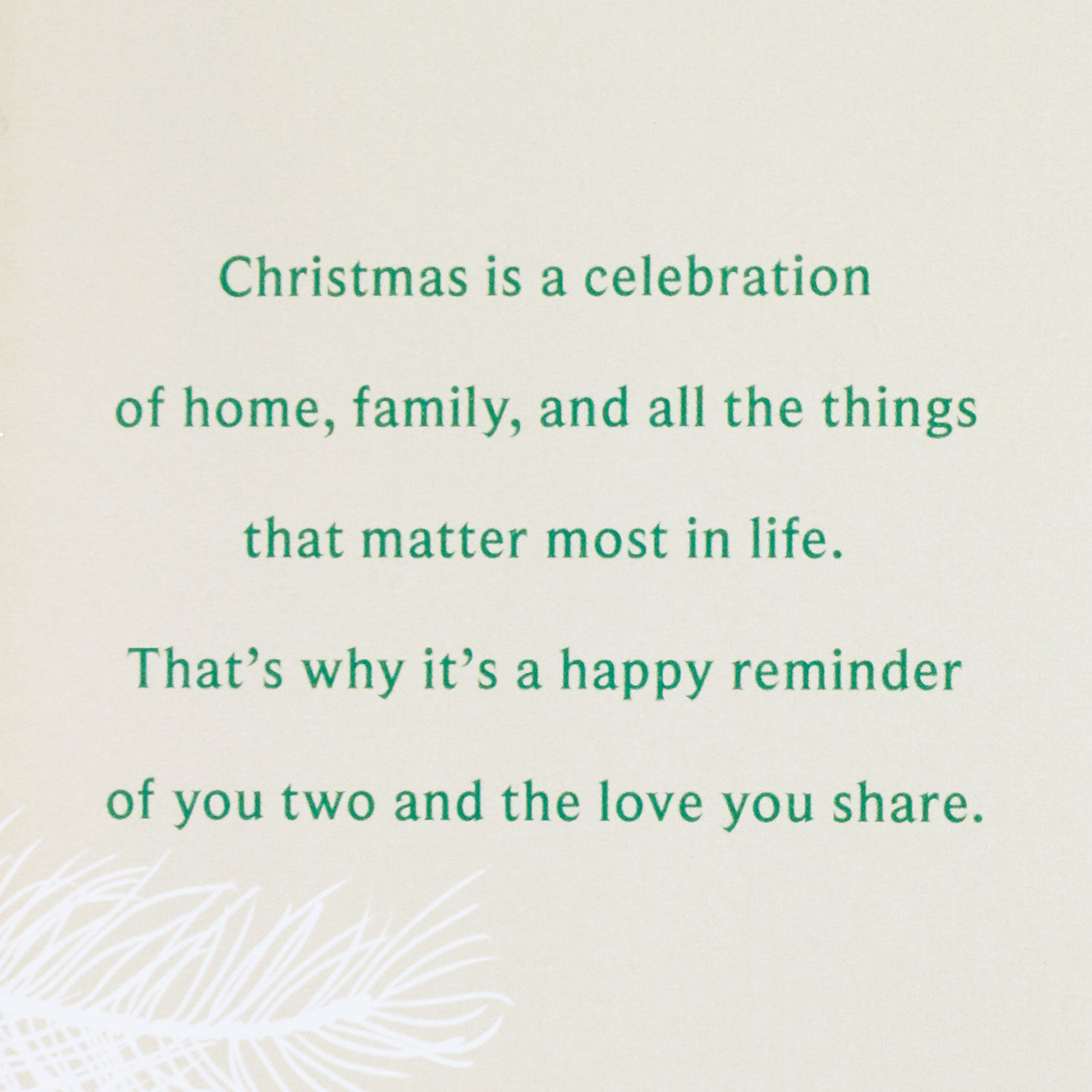 Ornaments Christmas Card for Brother and His Wife Sentiment image number 2