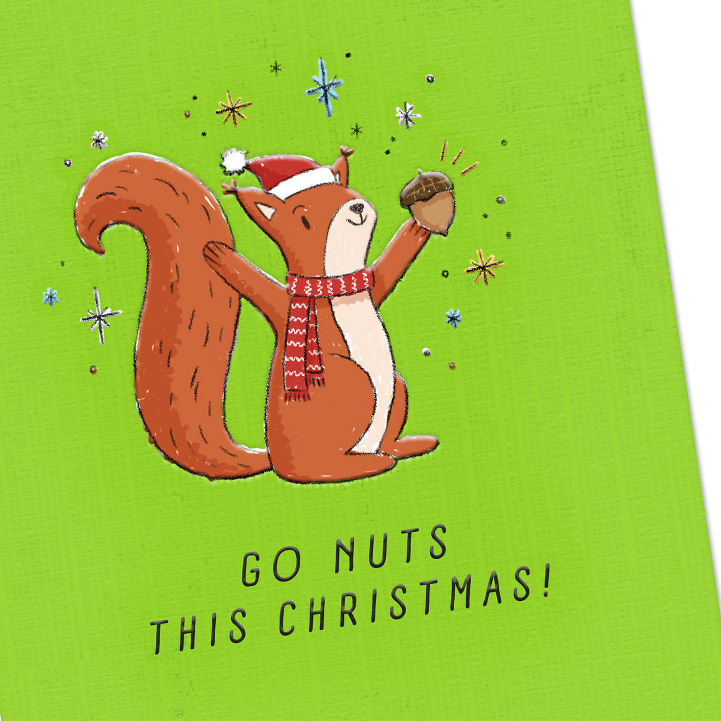Squirrel on Green Christmas Money Holder Card Card Front Detail image number 5