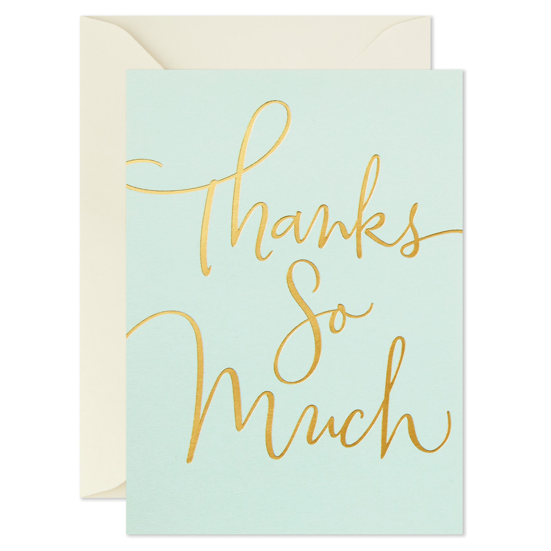 Thanks So Much Blank ThankYou Notes, Pack of 10 Note Cards Hallmark