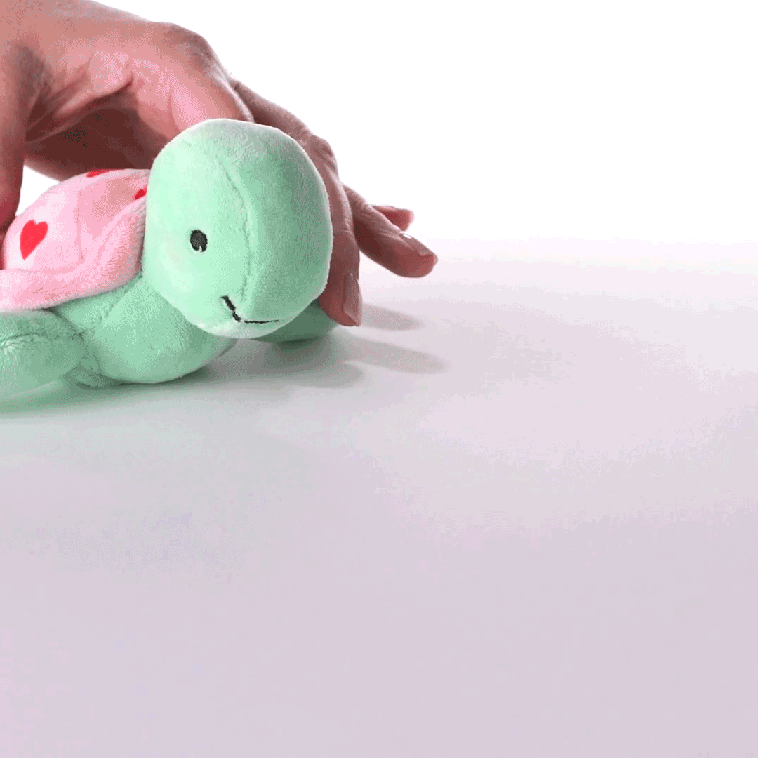 Zip-Along Turtle Plush Toy  image number 2