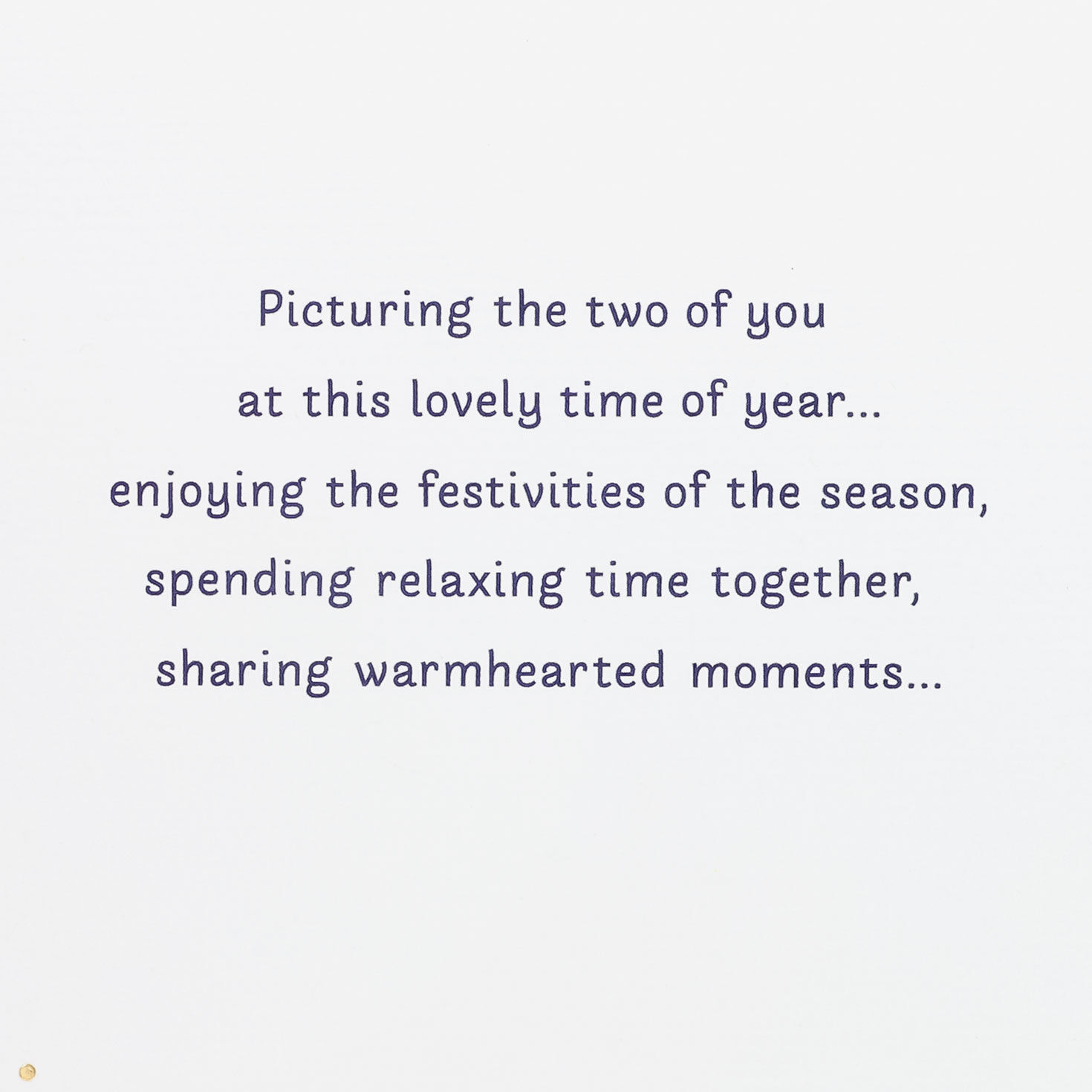 Navy Gold Owl Christmas Card for Daughter and Husband Sentiment image number 2