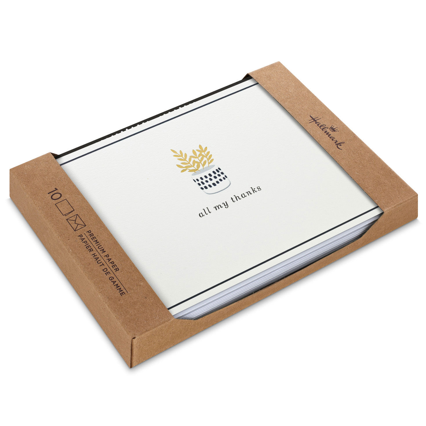 Potted Plant Blank Thank You Notes, Pack of 10