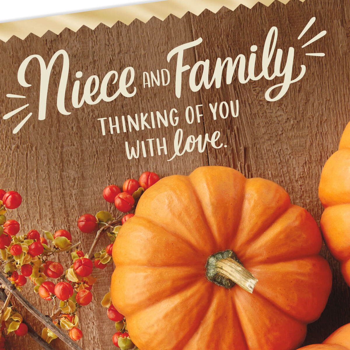 1900 park fare thanksgiving menu