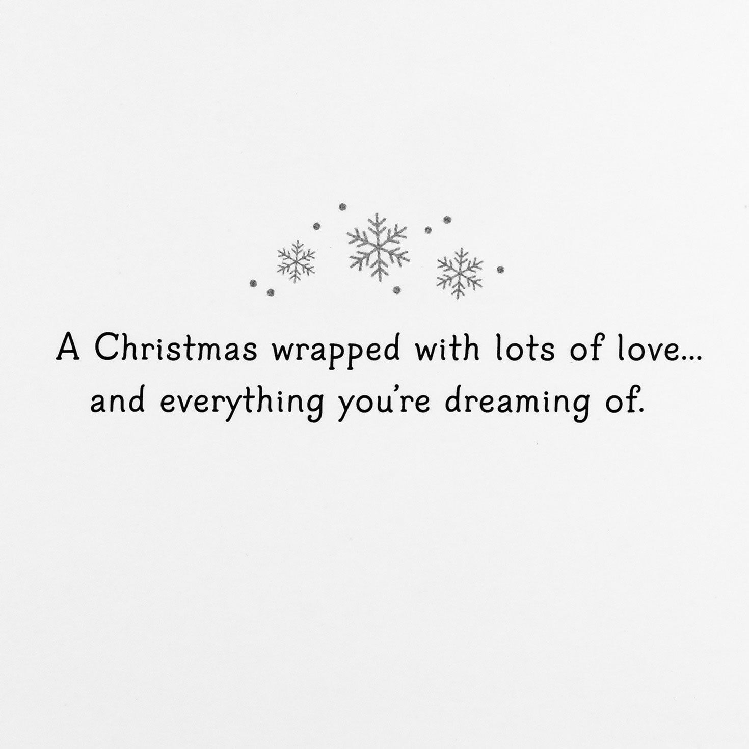 Cat and Dog Boxed Christmas Card Bulk Assortment Sentiment Detail image number 4