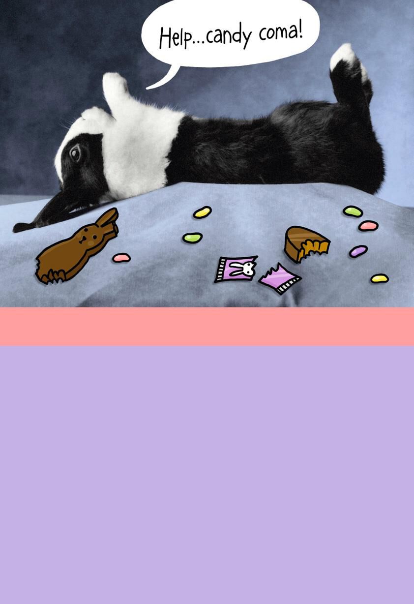 Candy Coma Bunny Funny Easter Card