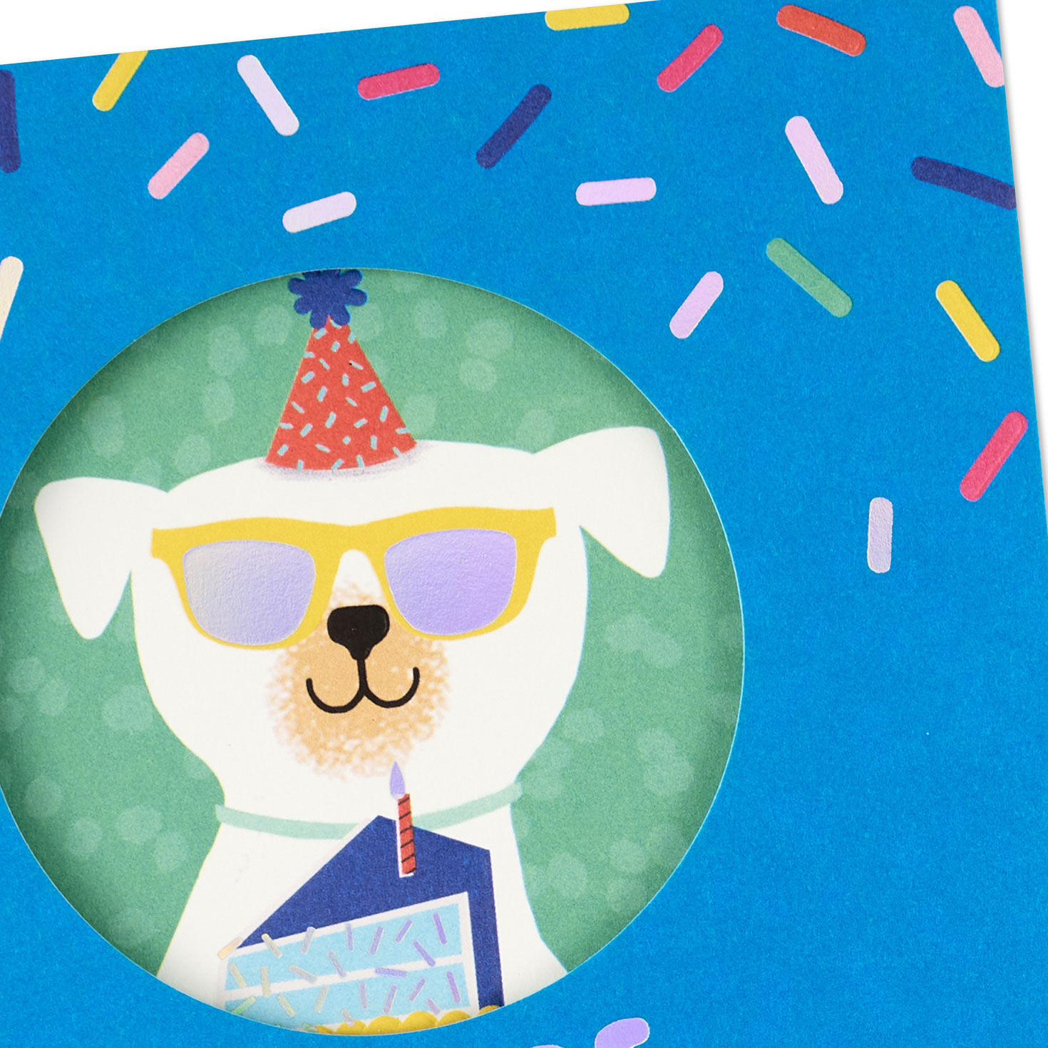 Dog With Cake Kids Birthday Card Card Front Detail image number 5