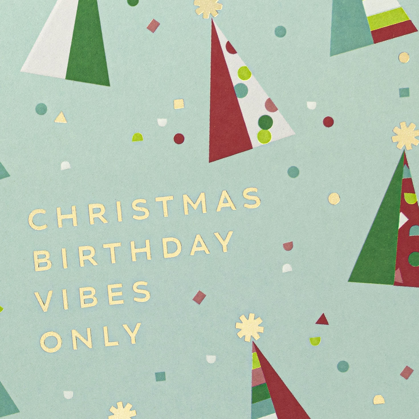 A Reason to Celebrate Christmas Birthday Card, , large image number 4