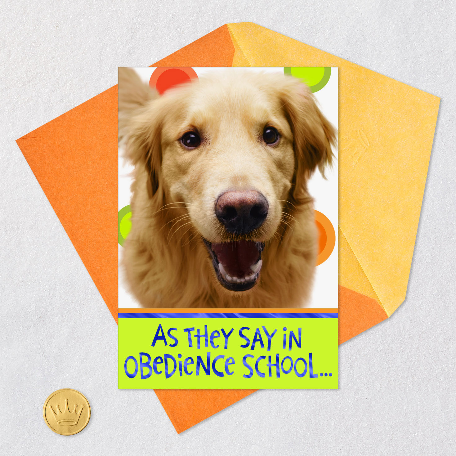 Golden Retriever Funny Get Well Card  image number 5