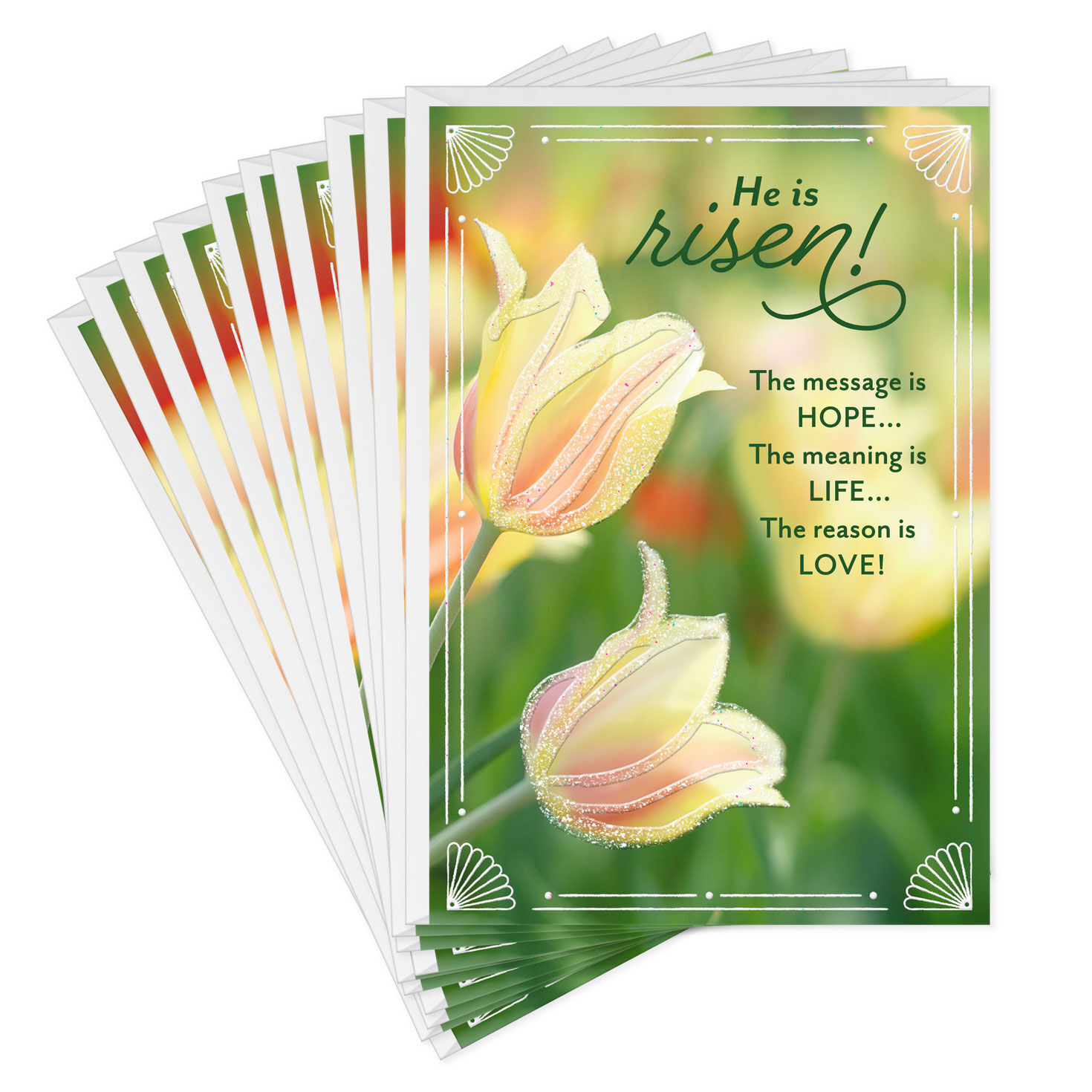The Message Is Hope Religious Easter Cards, Pack of 10