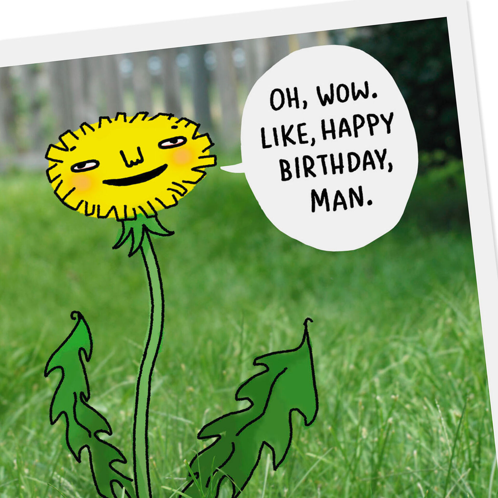 A Little Weed Funny Birthday Card - Greeting Cards - Hallmark