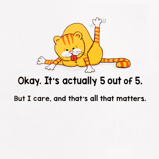 Cats Don't Care Funny Birthday Card, 