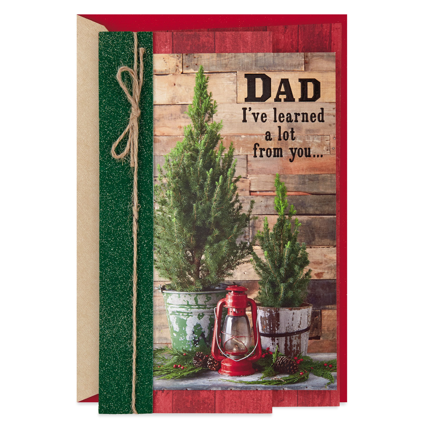 I've Learned a Lot From You Christmas Card for Dad