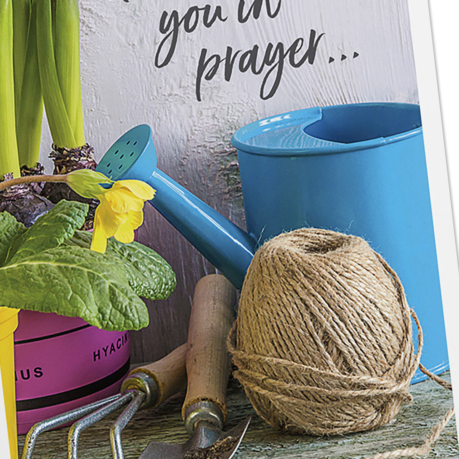 Garden Tools DaySpring Prayer Cards Assortment Cover Detail image number 5