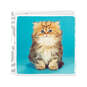 Cute Kitten Photo Birthday Card, , large image number 1