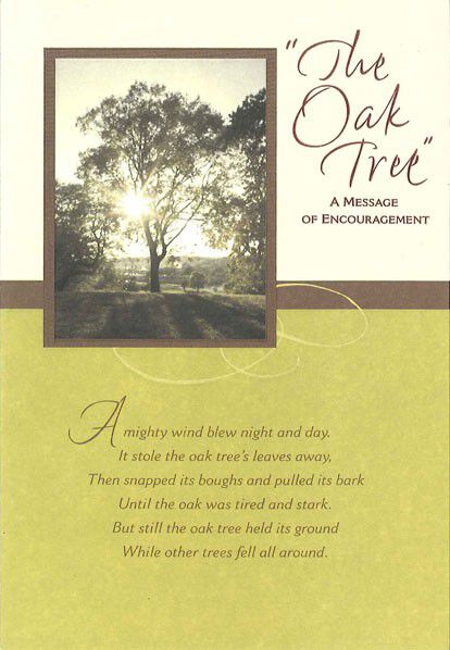 The Oak Tree Encouragement Card Greeting Cards Hallmark