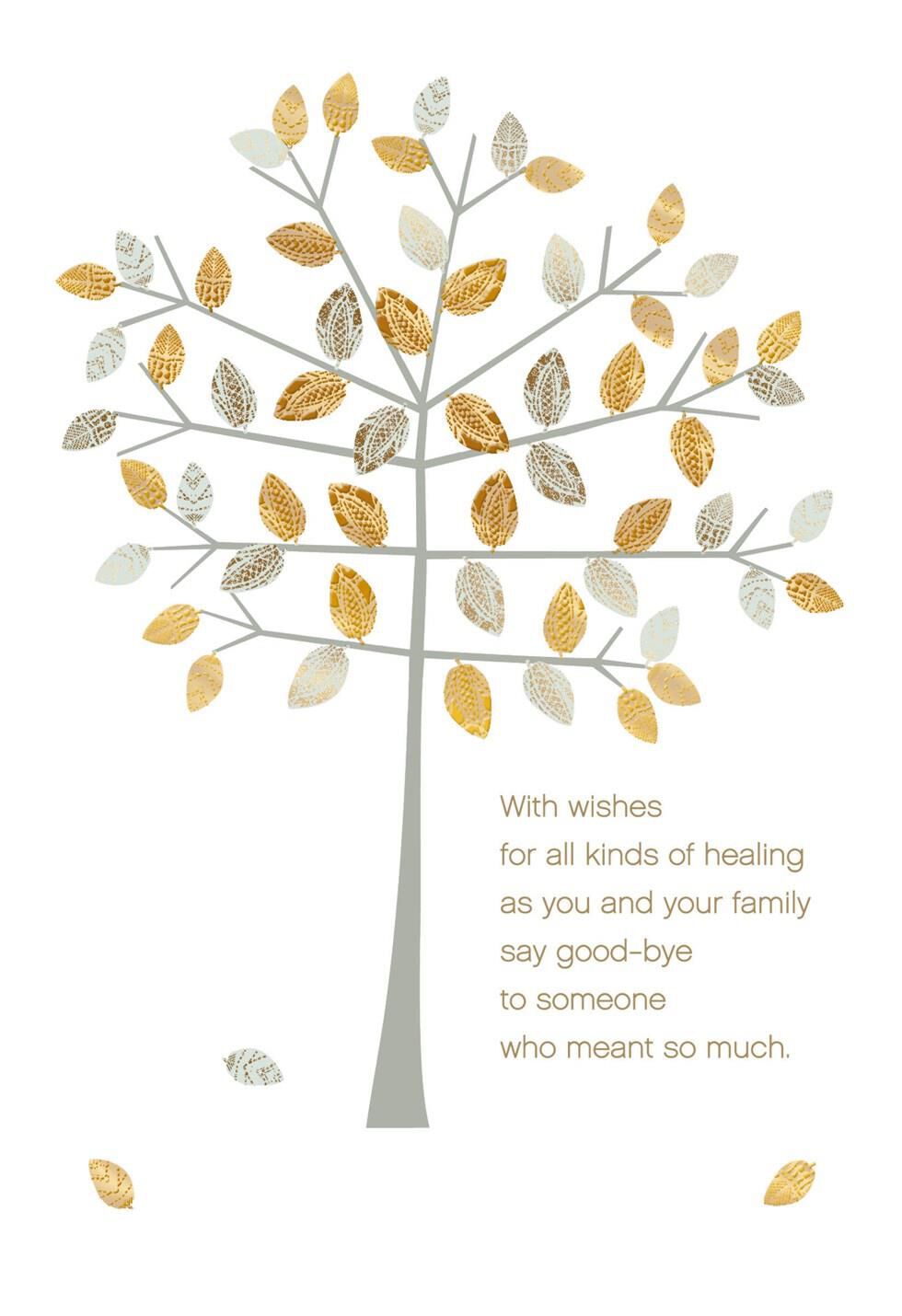 Healing Wishes Sympathy Card Greeting Cards Hallmark
