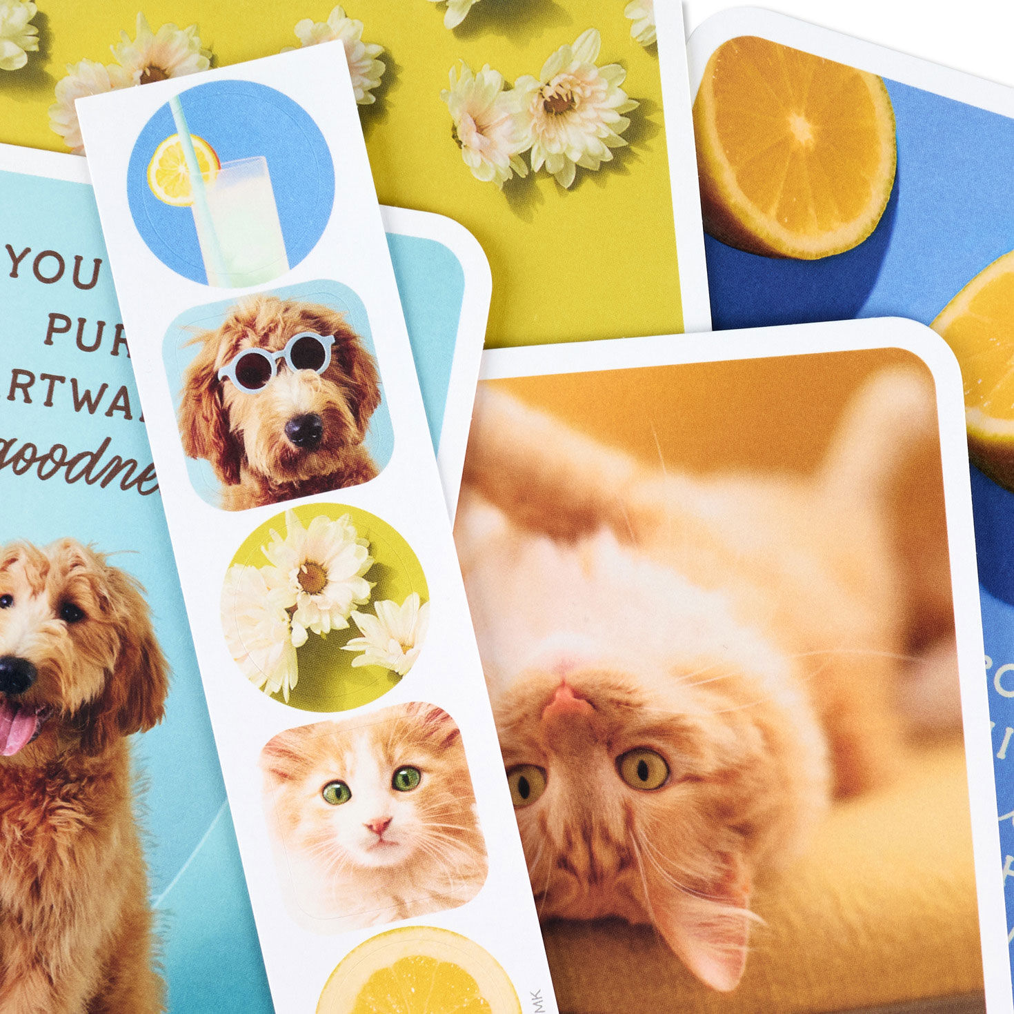 Dog and Cat Just Because Cards Pack With Stickers upclose view image number 5