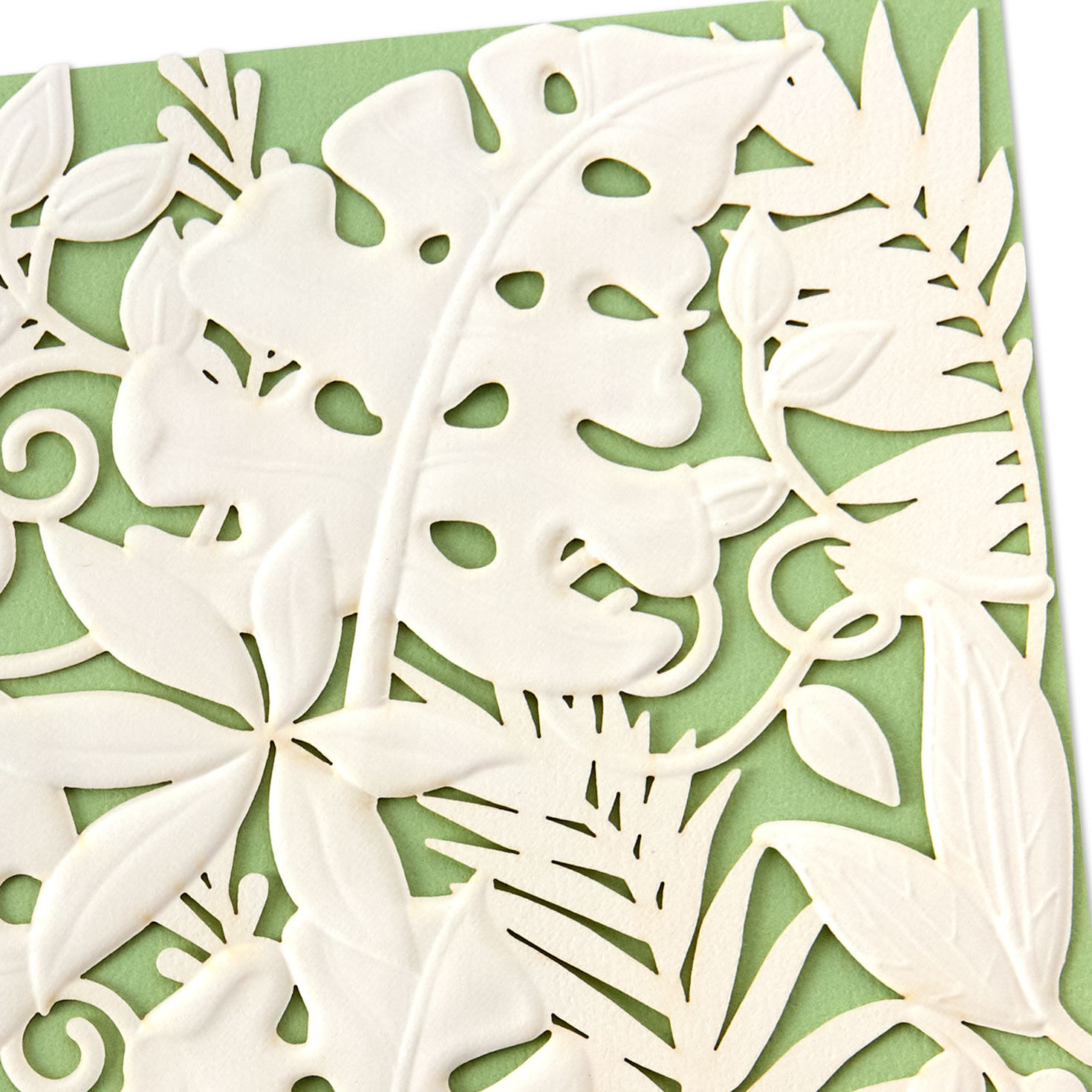 White Die-Cut Monstera Leaves on Mint Green Blank Card Card Front Detail image number 3