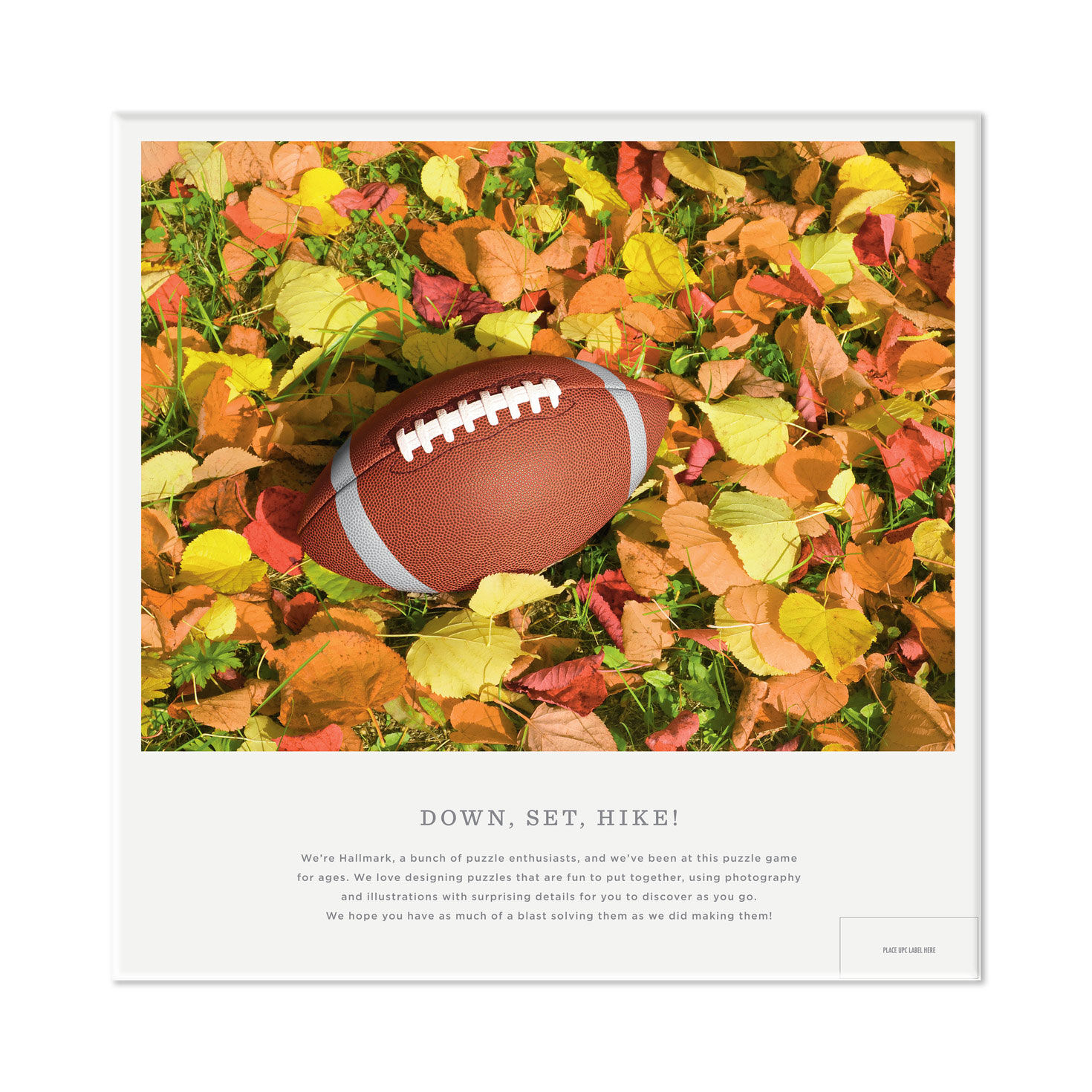 Down, Set, Hike! 550-Piece Jigsaw Puzzle for only USD 22.99 | Hallmark