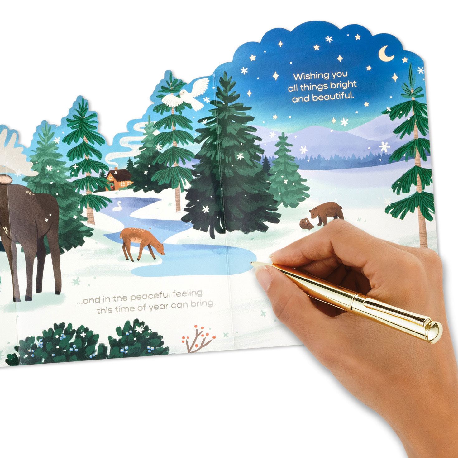 Woodland Animals Landscape Boxed Christmas Cards Signing card image number 7
