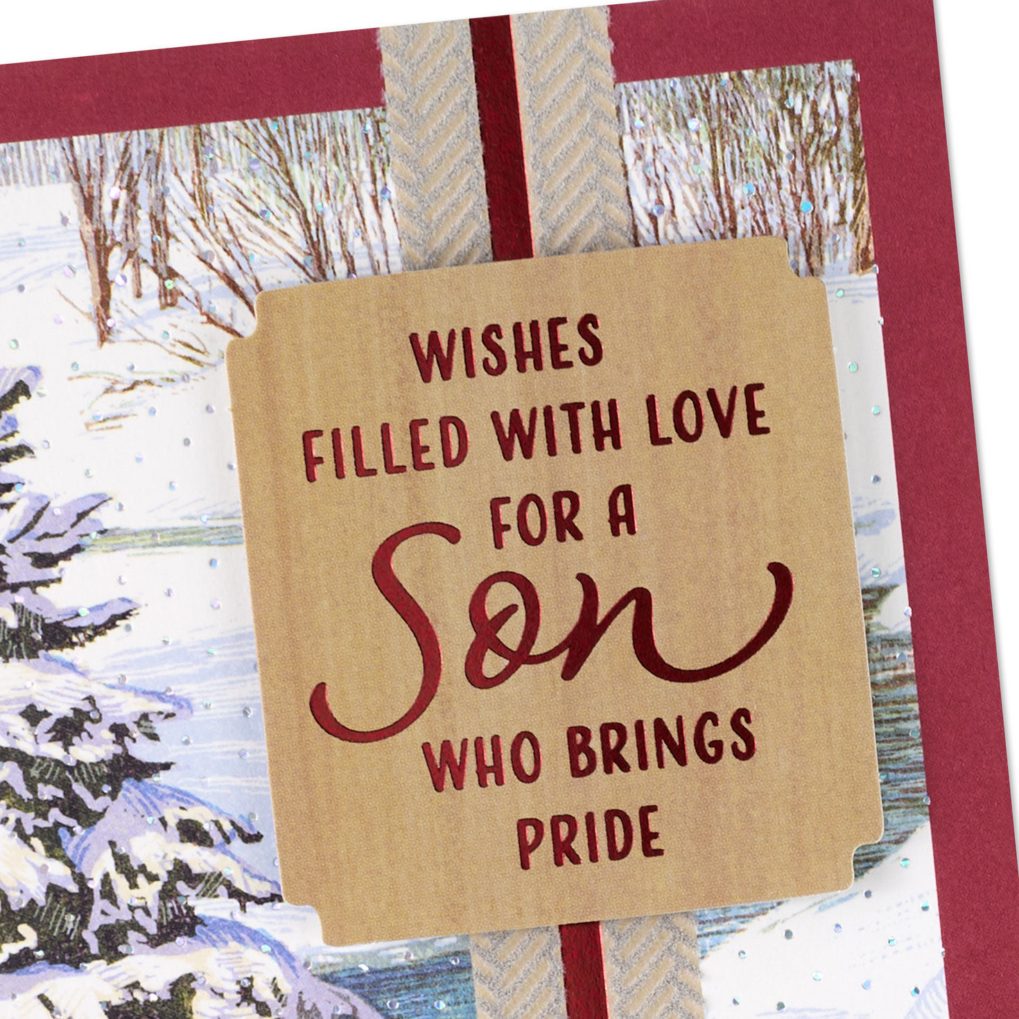 Cardinal in Snowy Tree Son Christmas Card Caard Front Detail image number 6