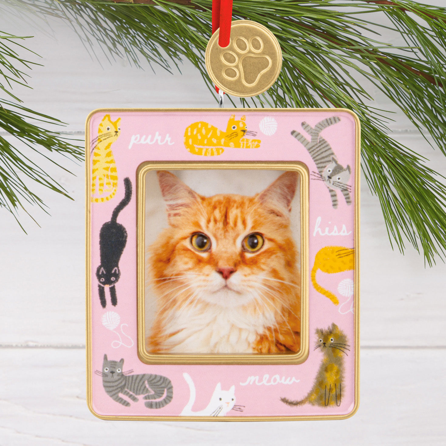 Cats on Pink Photo Frame Christmas Ornament hanging on tree image number 2
