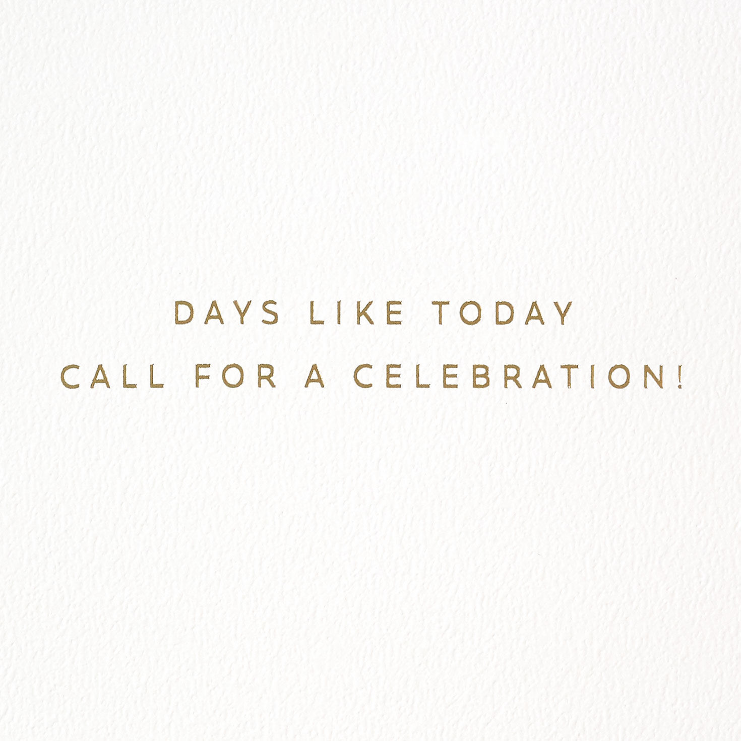 Tassel Banners Signature Birthday Card Sentiment image number 2