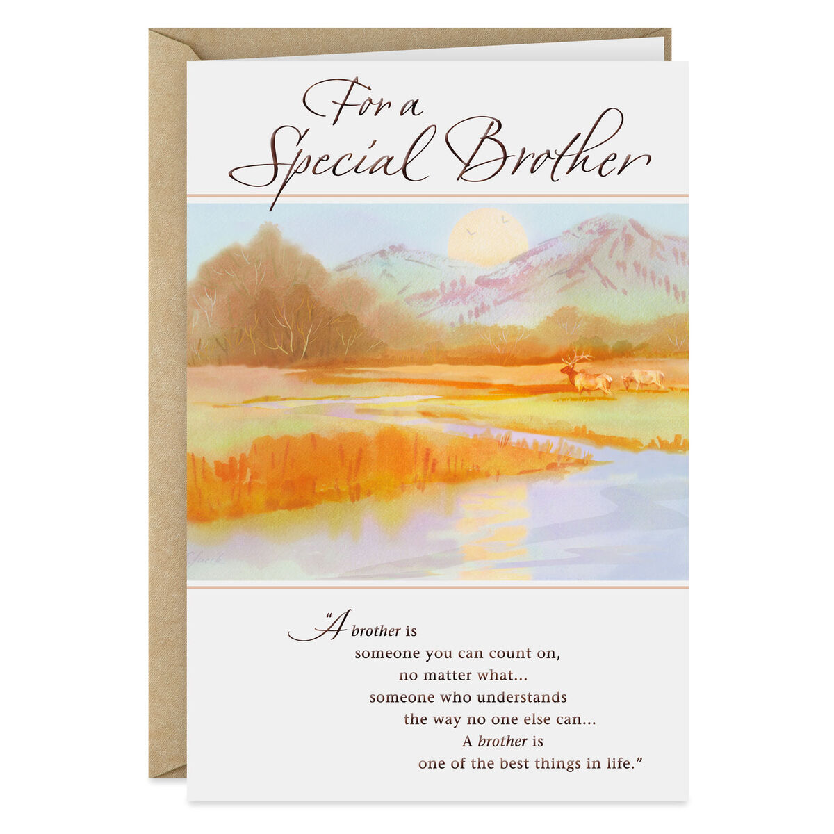 Special Brother Birthday Card Greeting Cards Hallmark
