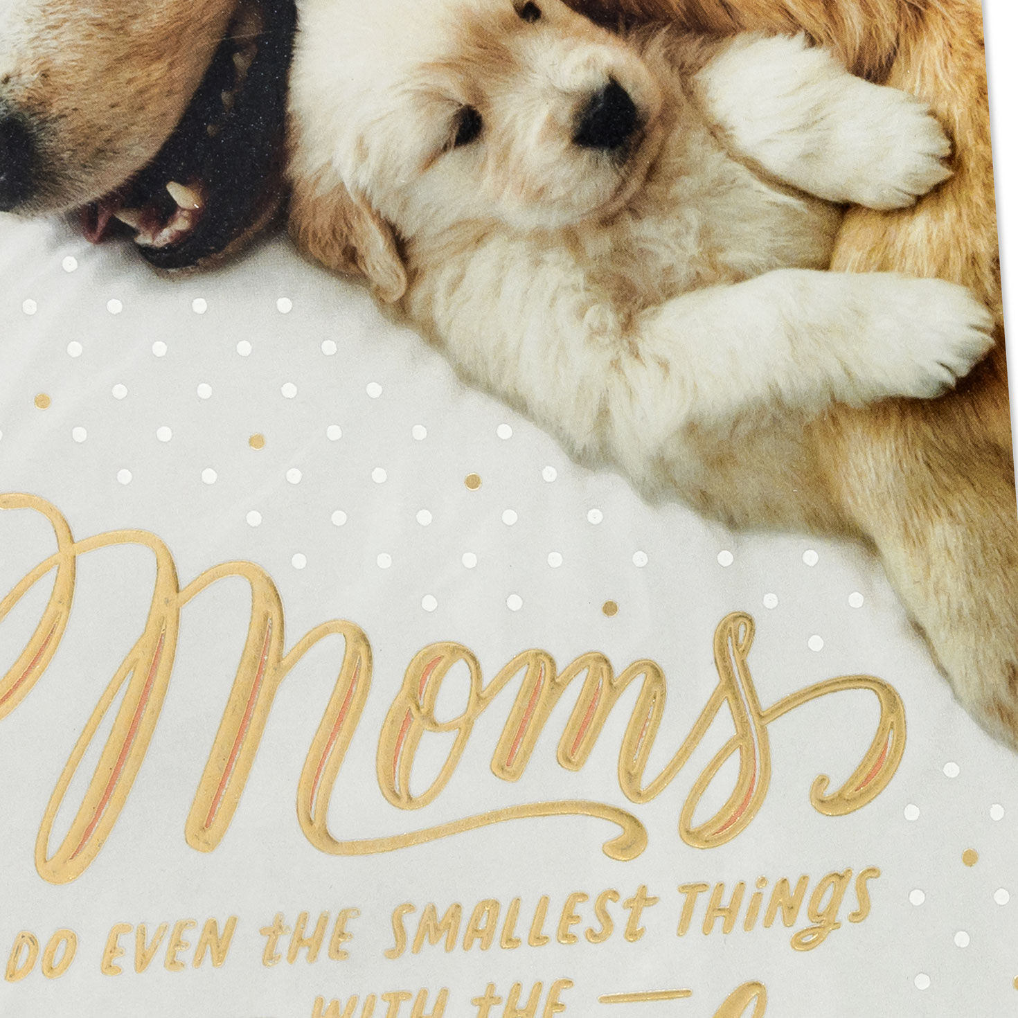 Dog Snuggling Puppy Mom Mother's Day Card Card Front Detail image number 4
