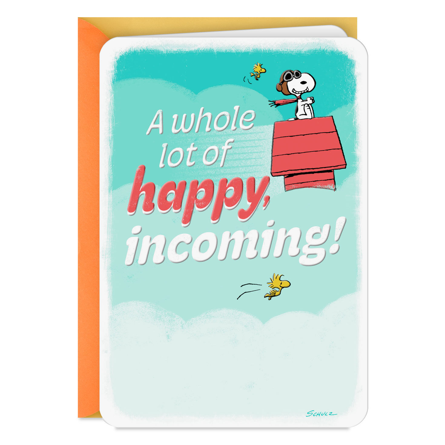 Peanuts Snoopy Whole Lot of Happy Card