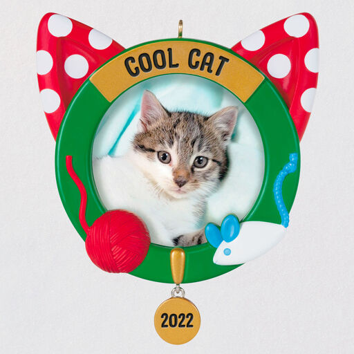 Cool Cat 2022 Photo Frame Ornament, 