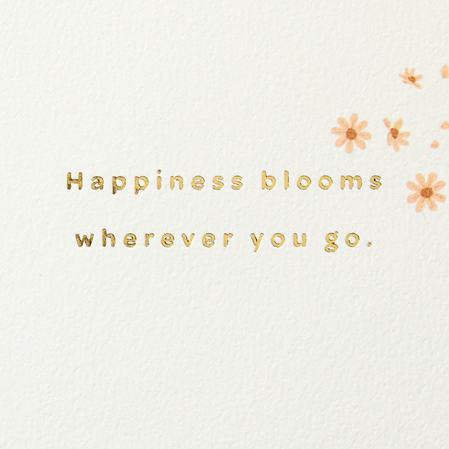 Flowers in Cowboy Boots Mother's Day Card sentiment image number 2