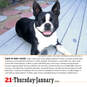 365 Dogs Page-A-Day Calendar, 2021, , large image number 4