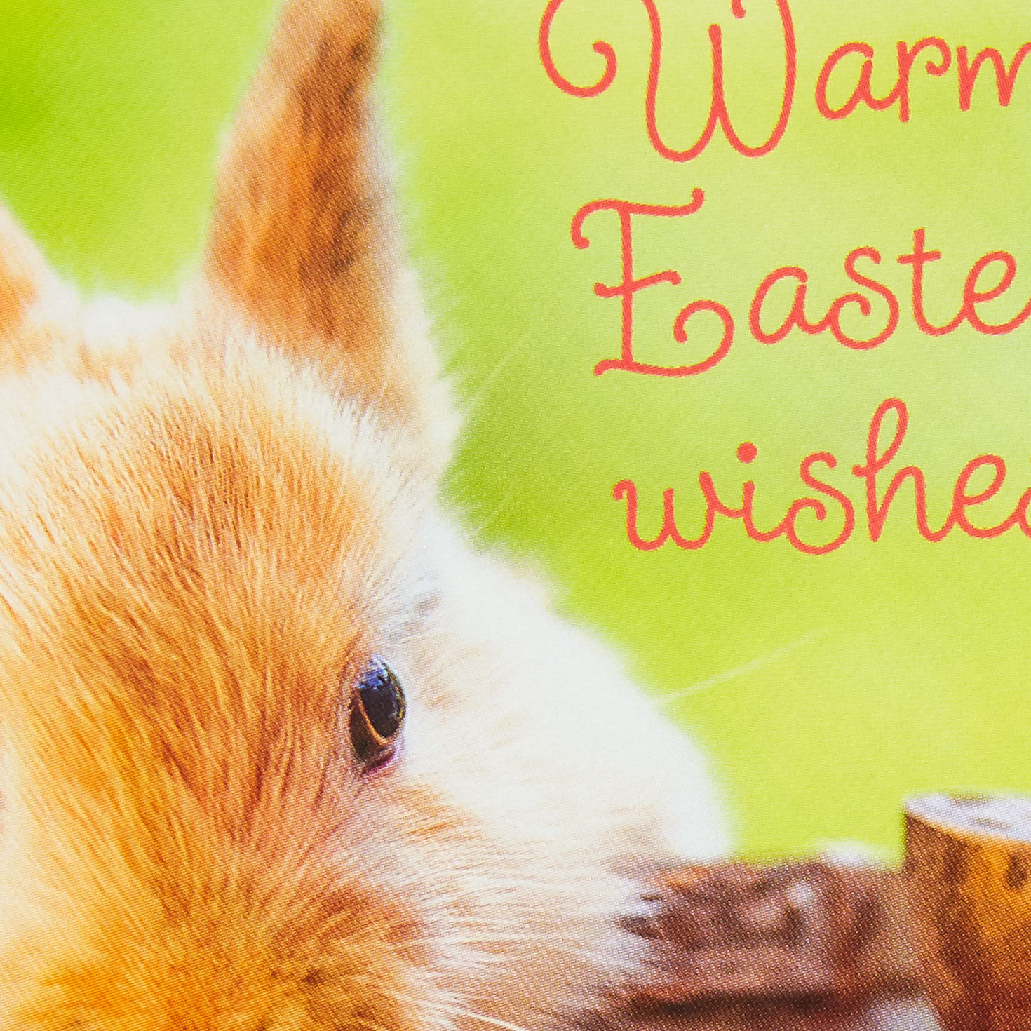 Bunny in Watering Can Easter Cards Pack Card Front Detail image number 4