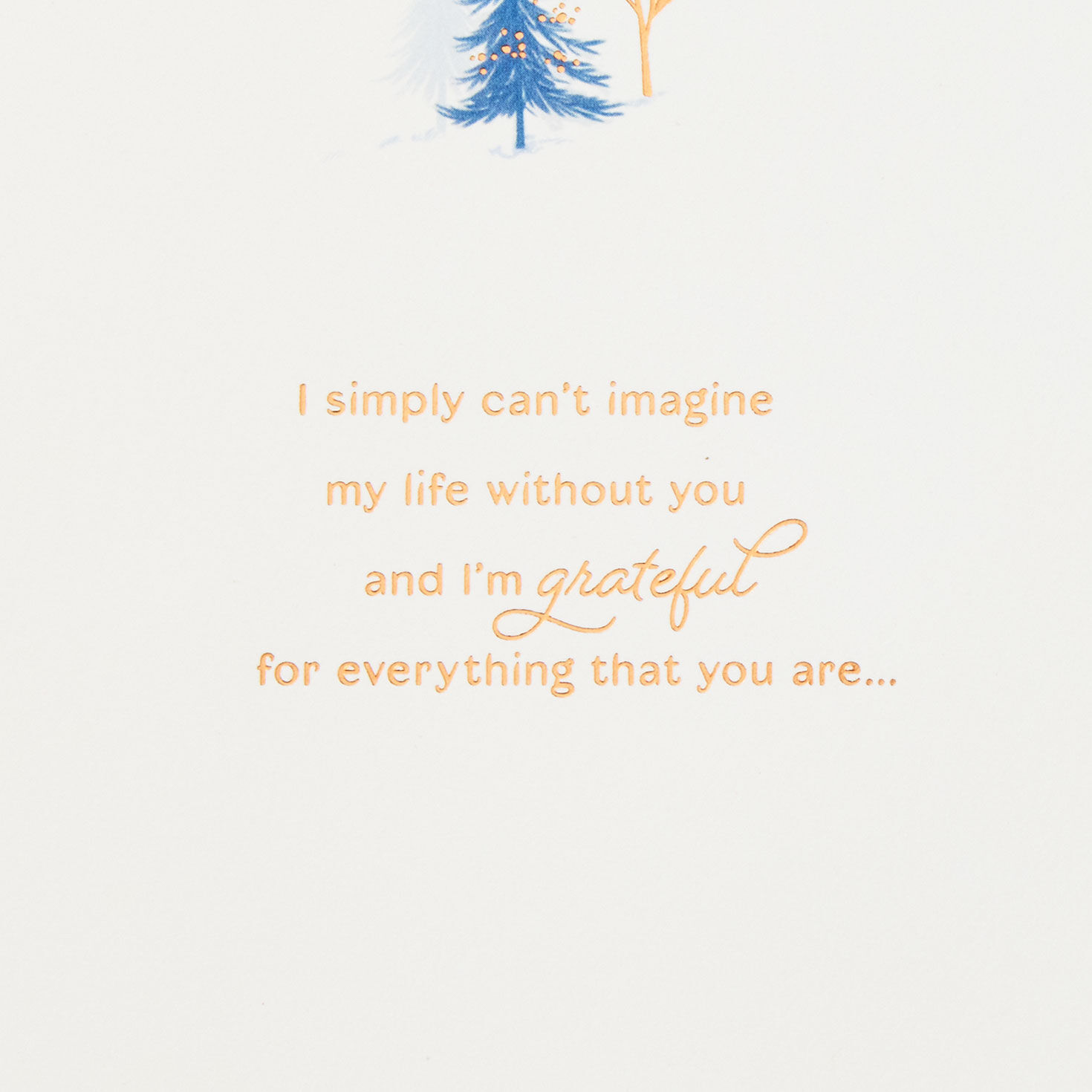 Winter Cottage Christmas Card for Wife sentiment image number 2