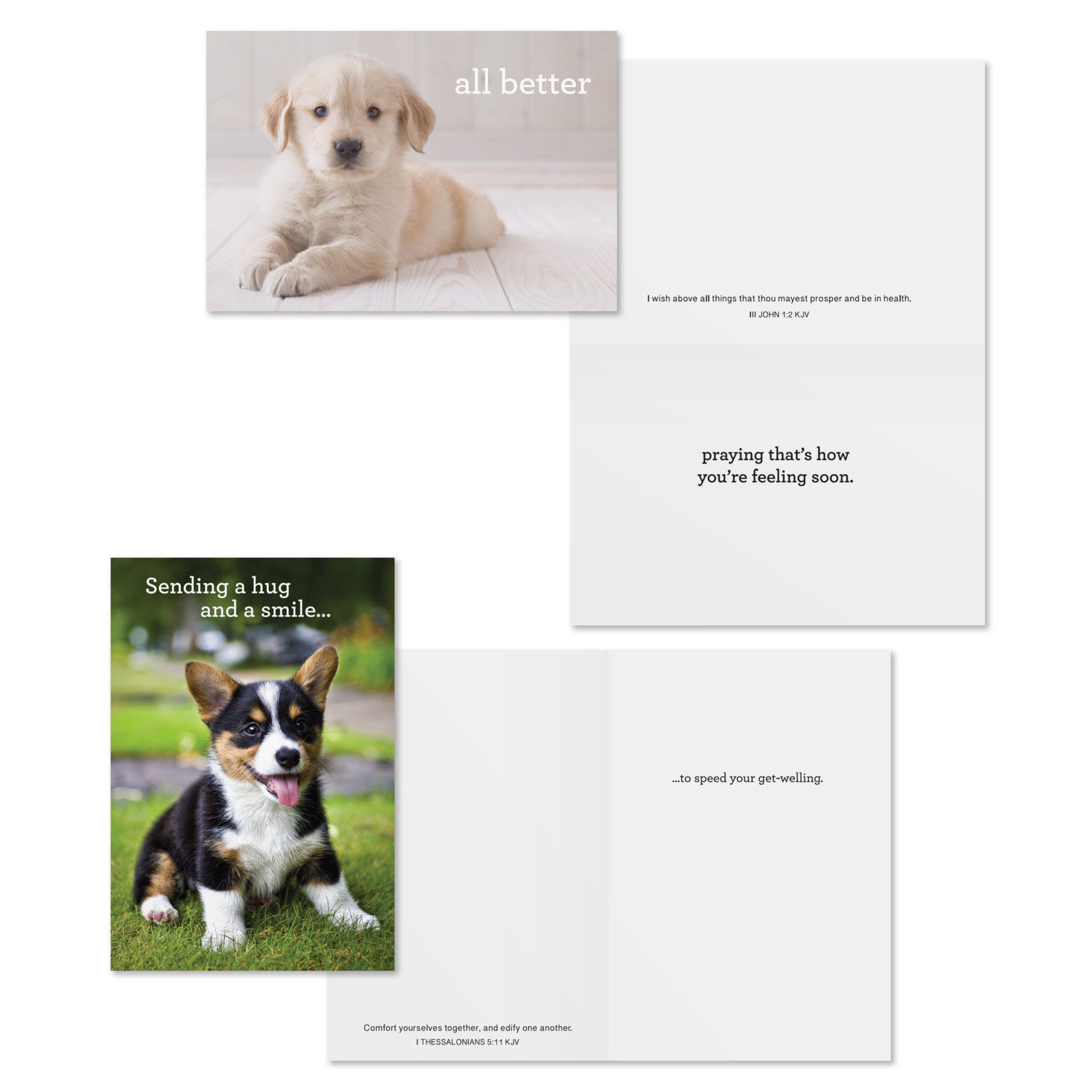 Cats and Dogs DaySpring Get Well Cards Assortment Card Front with Sentiment image number 4