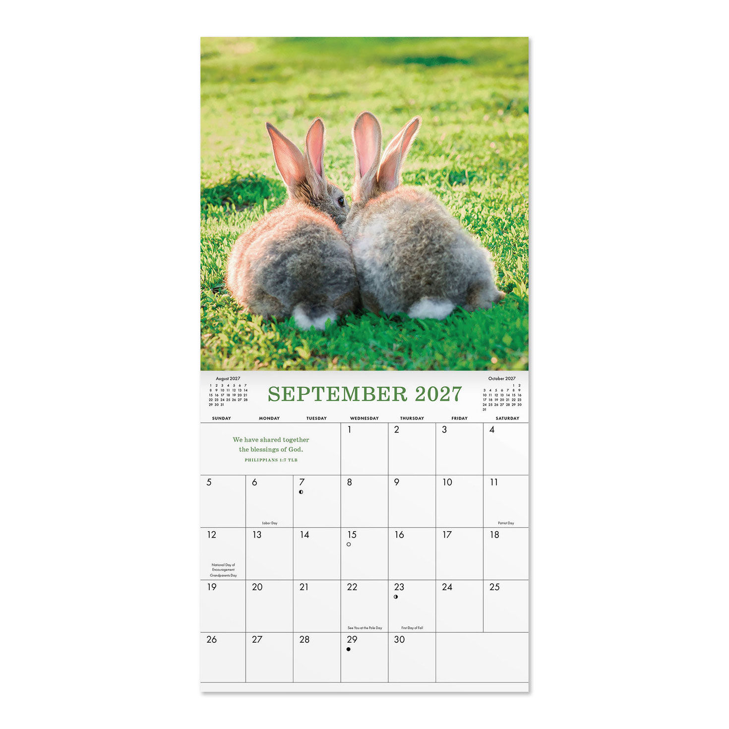 Cute Household Pets 7x7 Mini Wall Calendar inside spread image number 3
