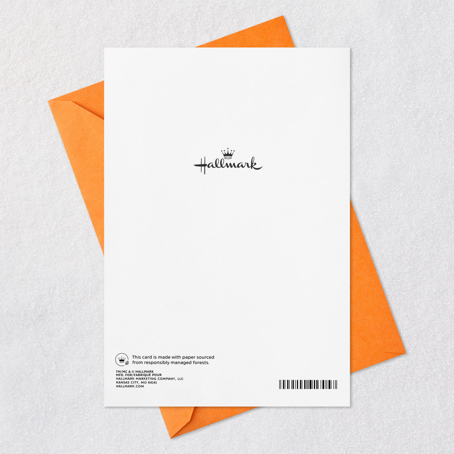 Celebrating You With Love, Gratitude and Pride 100th Birthday Card, , large image number 7