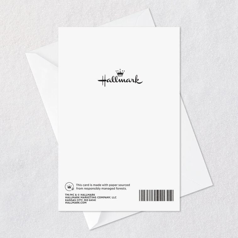 Fall Leaves Wreath Thanksgiving Cards Pack Card Back with Envelope image number 6