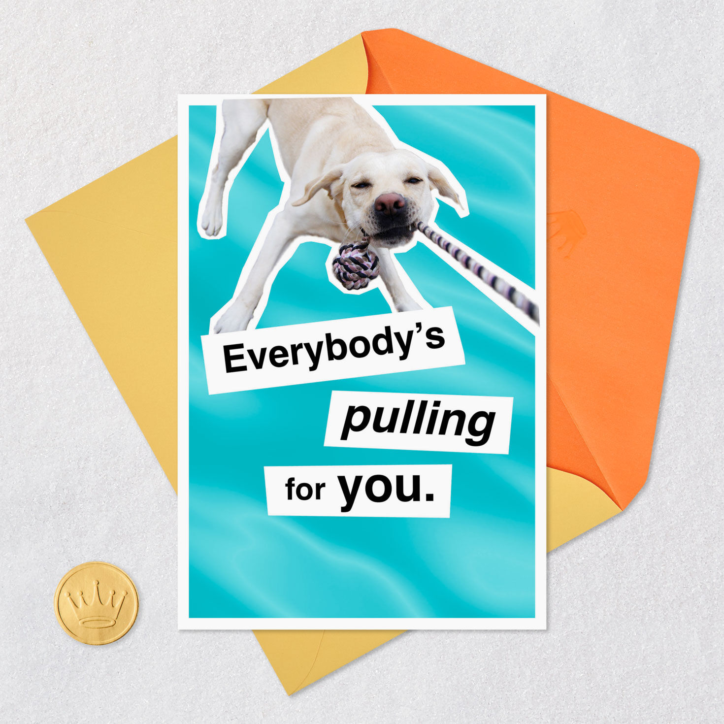 Dog Tug Toy Funny Good Luck Card Card Front with Envelope and Gold Seal image number 5