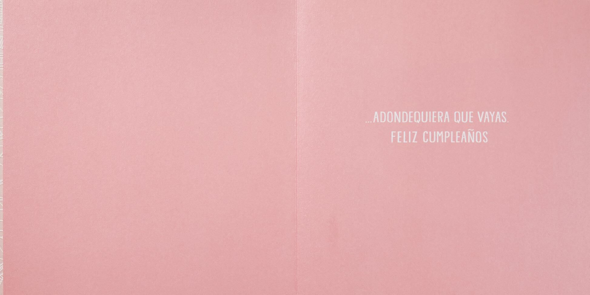 Un Mundo de Felicidad Spanish Language Birthday Card